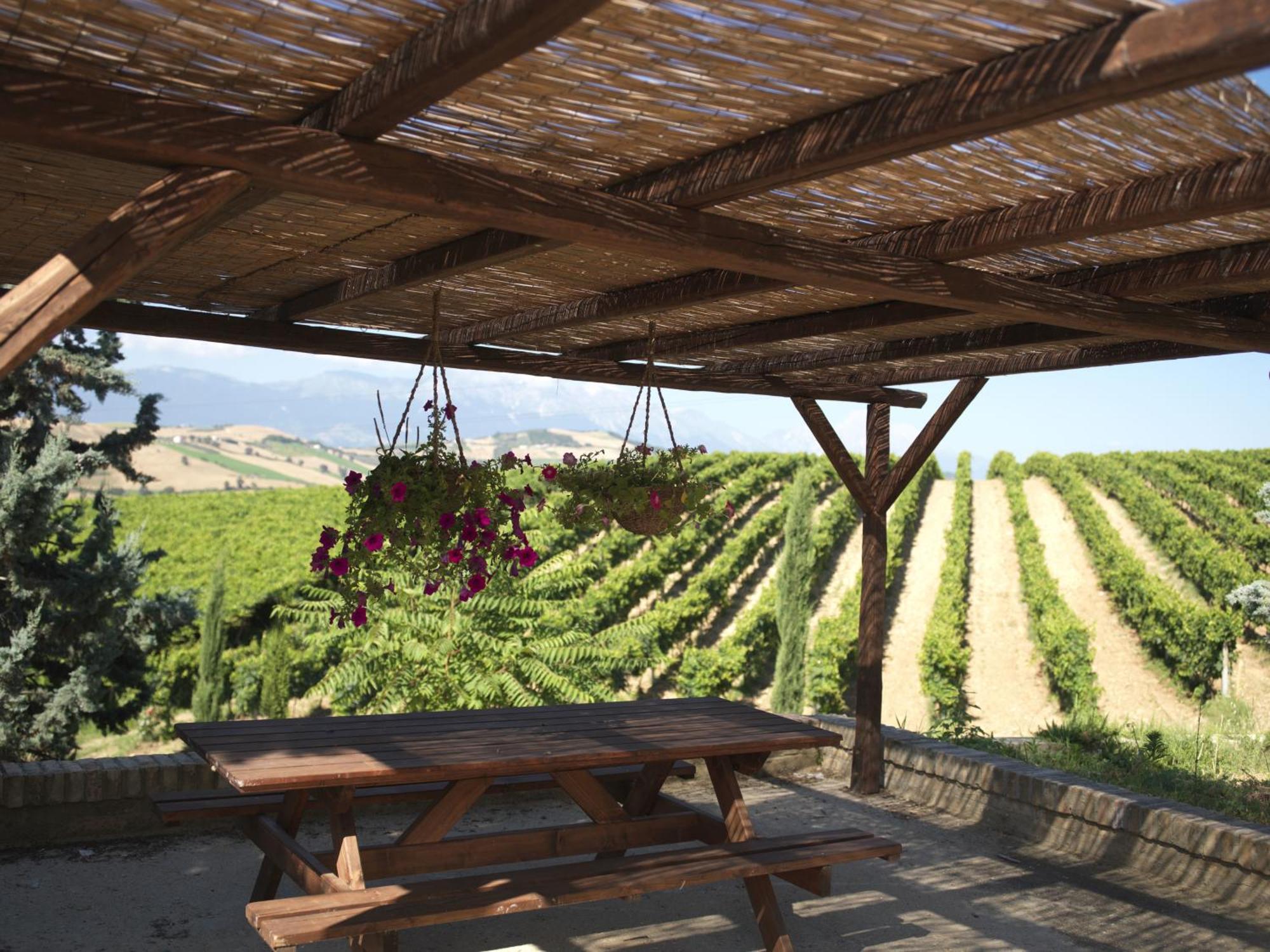 Contado San Lorenzo B&B And Wine Castilenti Bagian luar foto