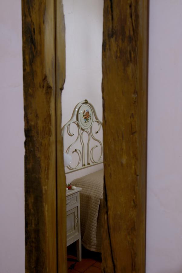 Contado San Lorenzo B&B And Wine Castilenti Bagian luar foto